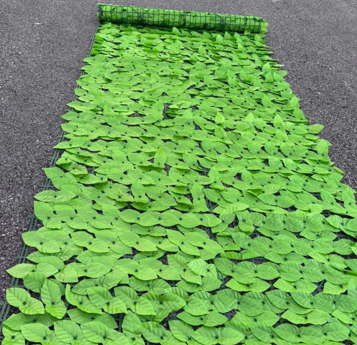 LÁ NHỰA GIẢ
