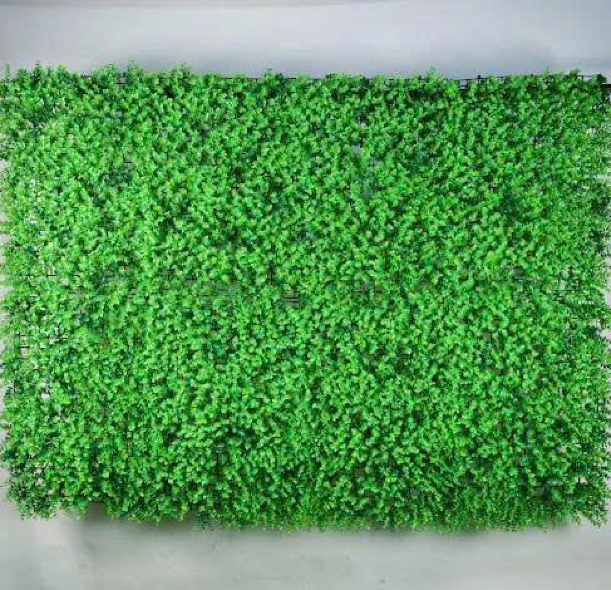 CỎ GIẢ Ô VUÔNG ĐẸP