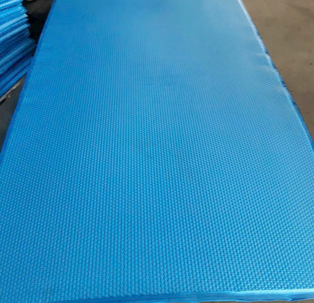 NHỰA MÚT LÓT SÀN