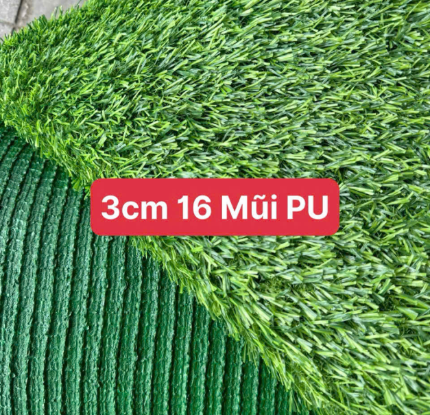 THẢM CỎ - 3CM 16 MŨI PU